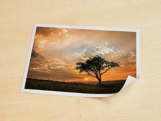 Preise und Ausführungen..