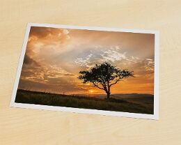 Poster / FineArt-Print auf Fotopapier 260g glossy Erhältlich in folgenden Ausführungen: Poster/FineArt Prints auf Fotopapier 260g glossy. Größen und Ausführungen sind im Warenkorb wählbar. Andere Größen und...