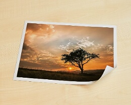 Poster / FineArt-Print auf Fotopapier 260g glossy Erhältlich in folgenden Ausführungen: Poster/FineArt Prints auf Fotopapier 260g glossy. Größen und Ausführungen sind im Warenkorb wählbar. Andere Größen und...