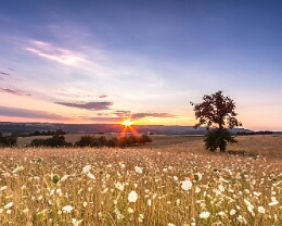Abendstimmung - Mauer Erhältlich in folgenden Ausführungen: Passepartout-Bilder: FineArt Prints auf Fotopapier 260g glossy, im Passepartout weiss. Plakate: FineArt Prints auf...