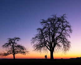 Januarstille Erhältlich in folgenden Ausführungen: Passepartout-Bilder: FineArt Prints auf Fotopapier 260g glossy, im Passepartout weiss. Plakate: FineArt Prints auf...