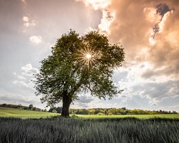 Between sky and earth Erhältlich in folgenden Ausführungen: Passepartout-Bilder: FineArt Prints auf Fotopapier 260g glossy, im Passepartout weiss. Plakate: FineArt Prints auf...