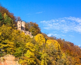 Schwalbennest - Neckarsteinach Erhältlich in folgenden Ausführungen: Passepartout-Bilder: FineArt Prints auf Fotopapier 260g glossy, im Passepartout weiss. Plakate: FineArt Prints auf...