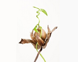 Neuanfang Erhältlich in folgenden Ausführungen: Passepartout-Bilder: FineArt Prints auf Fotopapier 260g glossy, im Passepartout weiss. Plakate: FineArt Prints auf...