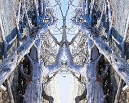 cathedral Erhältlich in folgenden Ausführungen: Passepartout-Bilder: FineArt Prints auf Fotopapier 260g glossy, im Passepartout weiss. Plakate: FineArt Prints auf...