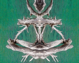 floating guru Erhältlich in folgenden Ausführungen: Passepartout-Bilder: FineArt Prints auf Fotopapier 260g glossy, im Passepartout weiss. Plakate: FineArt Prints auf...