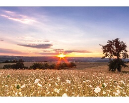 Abendstimmung im August - Wiesenbach Erhältlich in folgenden Ausführungen und Größen: Lang-DIN (10,5 x 21 cm) Motivseite hochgänzend Rückseite matt weiß ( siehe Beispiel Bild )