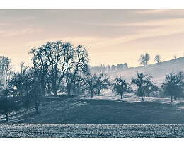 Early Morning - Wiesenbach Erhältlich in folgenden Ausführungen und Größen: Lang-DIN (10,5 x 21 cm) Motivseite hochgänzend Rückseite matt weiß ( siehe Beispiel Bild )