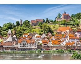 Perle des Neckartals - Hirschhorn Erhältlich in folgenden Ausführungen und Größen: Lang-DIN (10,5 x 21 cm) Motivseite hochgänzend Rückseite matt weiß ( siehe Beispiel Bild )