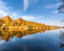 Herbst am Altrhein Erhältlich in folgenden Ausführungen: Passepartout-Bilder: FineArt Prints auf Fotopapier 260g glossy, im Passepartout weiss. Plakate: FineArt Prints auf...