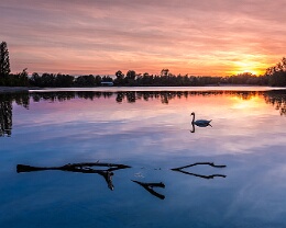 very quiet - Rheinland-Pfalz Erhältlich in folgenden Ausführungen: Passepartout-Bilder: FineArt Prints auf Fotopapier 260g glossy, im Passepartout weiss. Plakate: FineArt Prints auf...