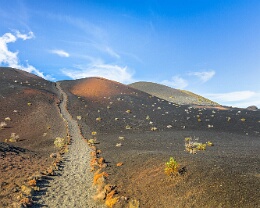 Der Weg - la Palma Erhältlich in folgenden Ausführungen: Passepartout-Bilder: FineArt Prints auf Fotopapier 260g glossy, im Passepartout weiss. Plakate: FineArt Prints auf...