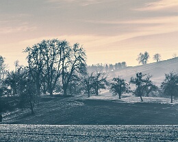 Early Morning Wiesenbach Erhältlich in folgenden Ausführungen: Passepartout-Bilder: FineArt Prints auf Fotopapier 260g glossy, im Passepartout weiss. Plakate: FineArt Prints auf...