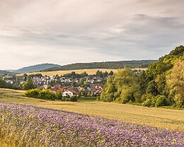 In June Wiesenbach Erhältlich in folgenden Ausführungen: Passepartout-Bilder: FineArt Prints auf Fotopapier 260g glossy, im Passepartout weiss. Plakate: FineArt Prints auf...