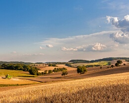 Kraichgauland Erhältlich in folgenden Ausführungen: Passepartout-Bilder: FineArt Prints auf Fotopapier 260g glossy, im Passepartout weiss. Plakate: FineArt Prints auf...