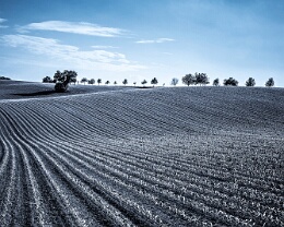 Linear Erhältlich in folgenden Ausführungen: Passepartout-Bilder: FineArt Prints auf Fotopapier 260g glossy, im Passepartout weiss. Plakate: FineArt Prints auf...