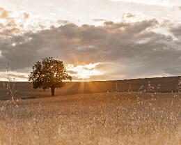 Summertime Kraichgau Erhältlich in folgenden Ausführungen: Passepartout-Bilder: FineArt Prints auf Fotopapier 260g glossy, im Passepartout weiss. Plakate: FineArt Prints auf...